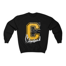 Load image into Gallery viewer, Cleveland Sweater
